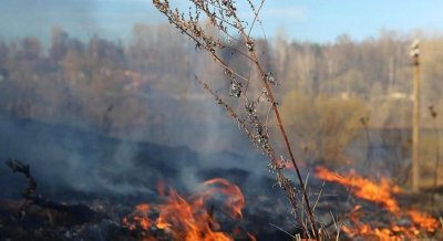 Пал сухой травы и отдых на природе. Ответственность